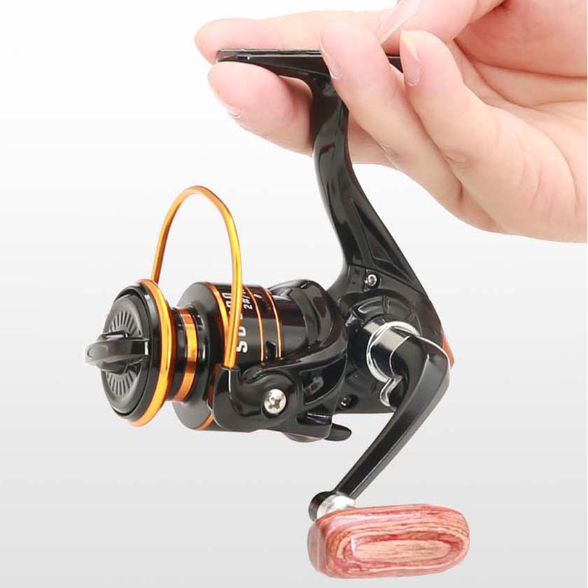 Carrete de Pesca Giratorio Peq - Daiwa Reel Bg reseña y precio
